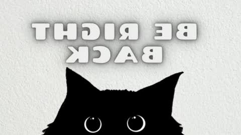elizabeth online show from May 2026 12:30:01 AM