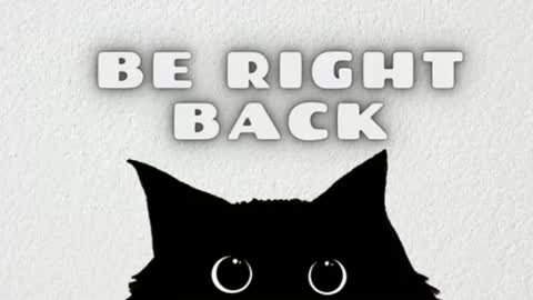 elizabeth online show from June 2026 12:15:01 AM