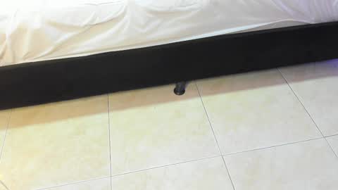 lulu online show from February 2026 07:18:01 PM