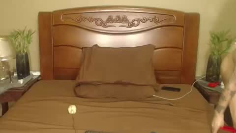 lulu_wild online show from April 2026 08:30:01 AM