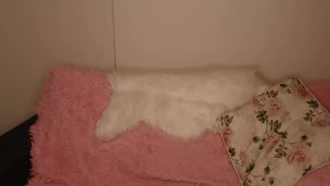 Snapshot of luna_moon77 chatting on December 2025 02:35:01 PM Luna online show from December 2025 02:35:01 PM