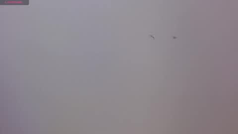 Luna and Rick online show from November 2025 08:36:02 PM