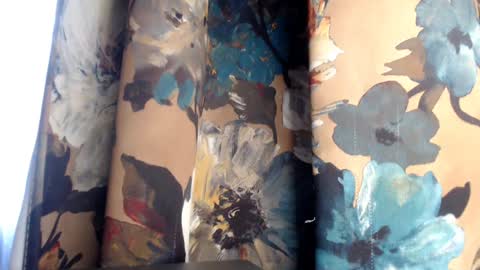 lunaafox online show from January 2025 12:30:01 PM