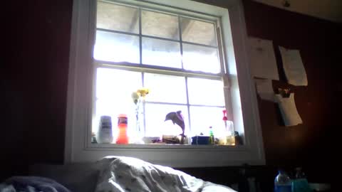 Snapshot of lunasecretadmirer chatting on February 2026 07:21:01 PM lunasecretadmirer online show from February 2026 07:21:01 PM