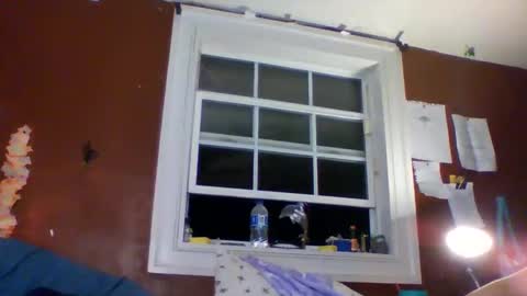 Snapshot of lunasecretadmirer chatting on March 2026 05:31:02 AM lunasecretadmirer online show from March 2026 05:31:02 AM