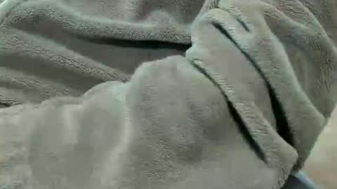 Snapshot of lustgardener67 chatting on October 2025 07:11:02 PM lustgardener67 online show from October 2025 07:11:02 PM