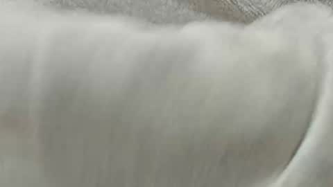 Snapshot of lustgardener67 chatting on November 2025 02:28:01 PM lustgardener67 online show from November 2025 02:28:01 PM