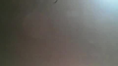 Bee Bee online show from March 2026 04:29:01 AM