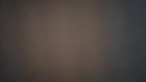 Snapshot of lvacd11 chatting on February 2025 04:37:02 PM Lvac11 online show from February 2025 04:37:02 PM