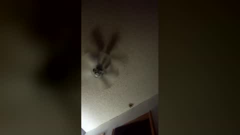 lvckthegoat online show from March 2026 08:09:02 AM