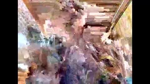 lyn_eva online show from March 2026 11:07:02 AM