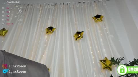 Lynx Rosen online show from January 2025 12:13:01 AM