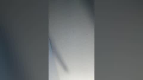 Snapshot of m41563365 chatting on July 2026 12:37:01 AM m41563365 online show from July 2026 12:37:01 AM
