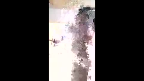 maciasbraulio846 online show from February 2026 06:00:02 AM