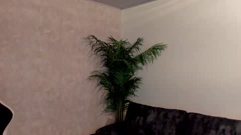 Snapshot of maddox_santana chatting on December 2024 12:57:02 AM Maddox Santana online show from December 2024 12:57:02 AM