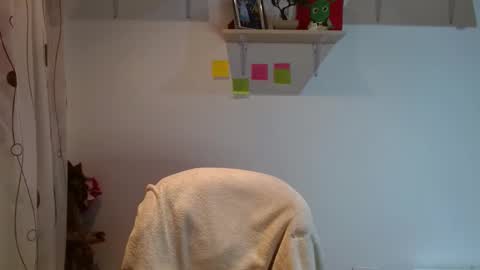 Madison Cambel online show from February 2025 03:40:01 AM