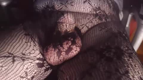 maestro2017 online show from February 2025 10:25:01 PM