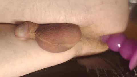 maestro2017 online show from March 2025 11:49:02 PM