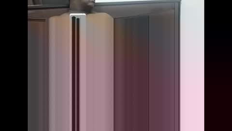 maheel84 online show from January 2026 05:29:02 PM