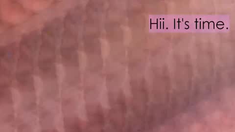 maitte_angel online show from April 2026 12:03:02 PM