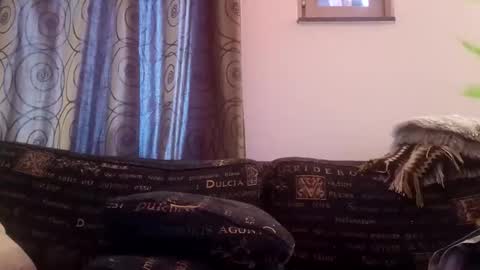 Snapshot of majorxoxo chatting on November 2025 07:31:02 AM majorxoxo online show from November 2025 07:31:02 AM