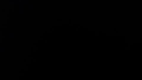 Alice Asylum online show from November 2025 12:13:01 AM