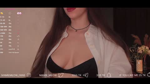 Snapshot of mamiemeow chatting on February 2025 01:30:01 PM Your Miss Alice online show from February 2025 01:30:01 PM