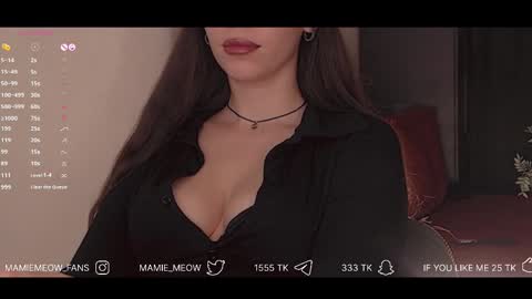 Snapshot of mamiemeow chatting on February 2025 01:16:02 PM Your Miss Alice online show from February 2025 01:16:02 PM