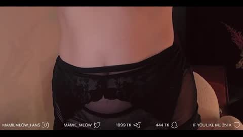 Snapshot of mamiemeow chatting on July 2026 05:21:02 AM Your Miss Alice online show from July 2026 05:21:02 AM