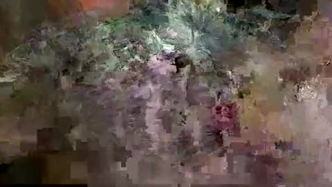 Snapshot of man_cok67xxx chatting on March 2026 10:33:02 AM Mancok online show from March 2026 10:33:02 AM