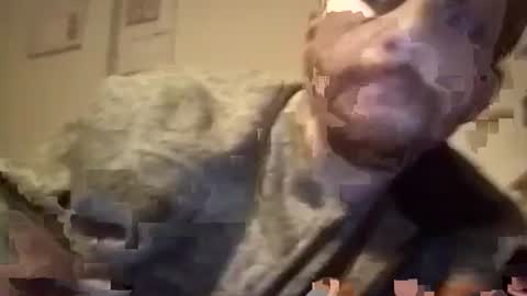 Snapshot of maniaksfucker chatting on January 2025 07:38:02 AM LANGERFICK online show from January 2025 07:38:02 AM