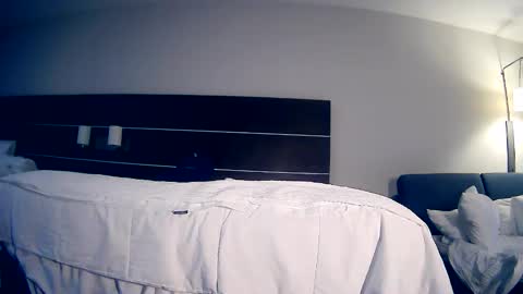 Daddy online show from May 2026 01:40:01 PM