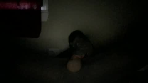 Snapshot of marc059 chatting on October 2025 09:01:01 PM marc059 online show from October 2025 09:01:01 PM