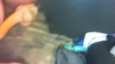 Snapshot of marcsexxy chatting on January 2025 10:35:01 PM Marc online show from January 2025 10:35:01 PM