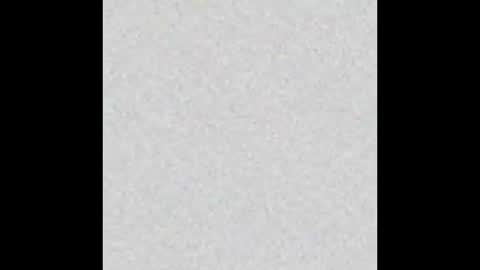 Marceline online show from January 2026 12:09:02 PM