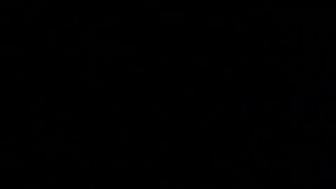 Elle online show from October 2025 01:33:02 PM