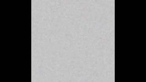 Margot online show from December 2024 11:19:02 AM