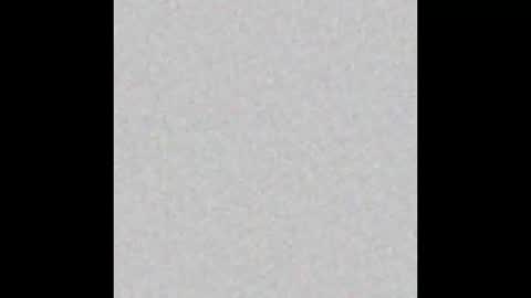 Margot online show from December 2024 11:15:02 AM