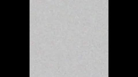 Margot online show from January 2025 12:04:02 PM