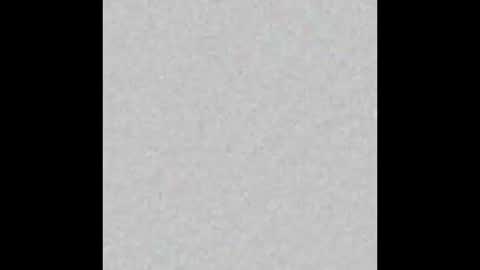 Margot online show from January 2025 11:24:01 AM