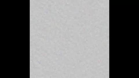 Margot online show from February 2025 11:32:01 AM