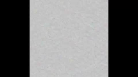 Margot online show from February 2025 11:21:02 AM