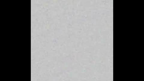 Margot online show from February 2025 11:09:02 AM