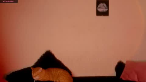 Snapshot of marianawlls chatting on February 2025 01:00:02 AM mariana williams online show from February 2025 01:00:02 AM