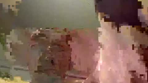 Snapshot of markhung1999 chatting on February 2025 01:32:01 PM markhung1999 online show from February 2025 01:32:01 PM