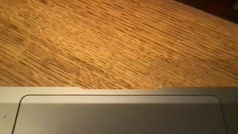 marklondonguy2023 online show from November 2025 09:22:01 AM