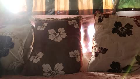 marocreda33 online show from December 2024 11:17:01 AM