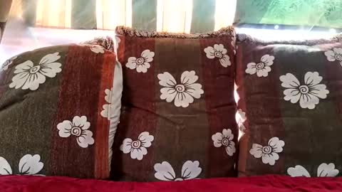 marocreda33 online show from February 2025 11:05:01 AM