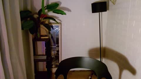 Wenwen online show from December 2024 08:58:01 PM