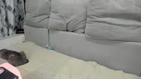 martaandserg online show from April 2026 02:39:02 PM